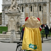 Photo de Italie - Pise, perle de la Toscane